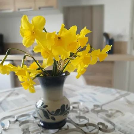 Chez Bob & Lulu Дом отдыха Пор-ан-Бессен-Юппен