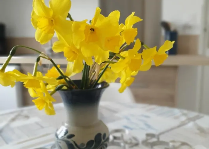 Chez Bob & Lulu Дом отдыха Пор-ан-Бессен-Юппен